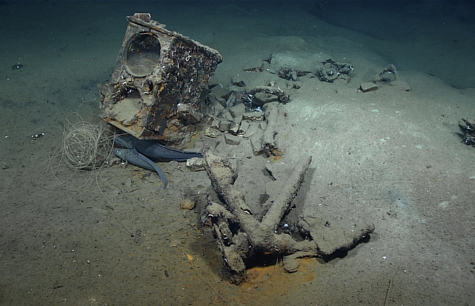 KEEL 「Migration Bootleg」 Wreck of 200-year-old whaling ship may have been found in